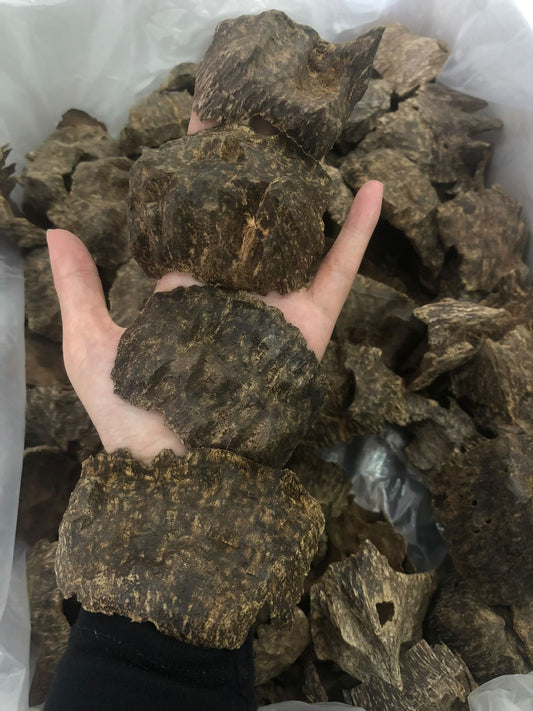 Agarwood Char Oud Chips Best Quality Incense Aroma Natural Wild And Rare (12g)