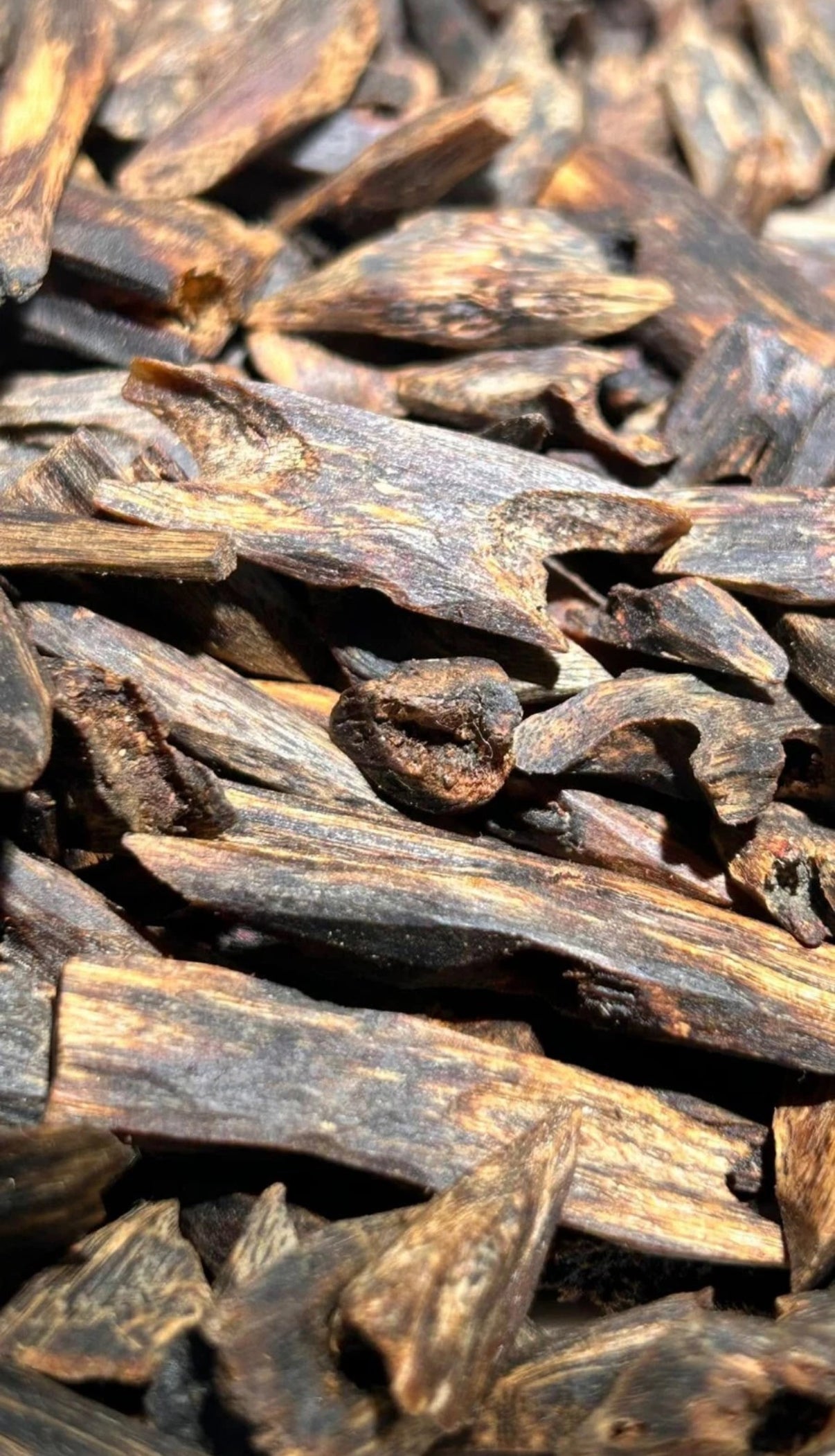 Kynam Oud 5A grade Natural Agarwood Rich and Sticky Full of Oil (China) 12G