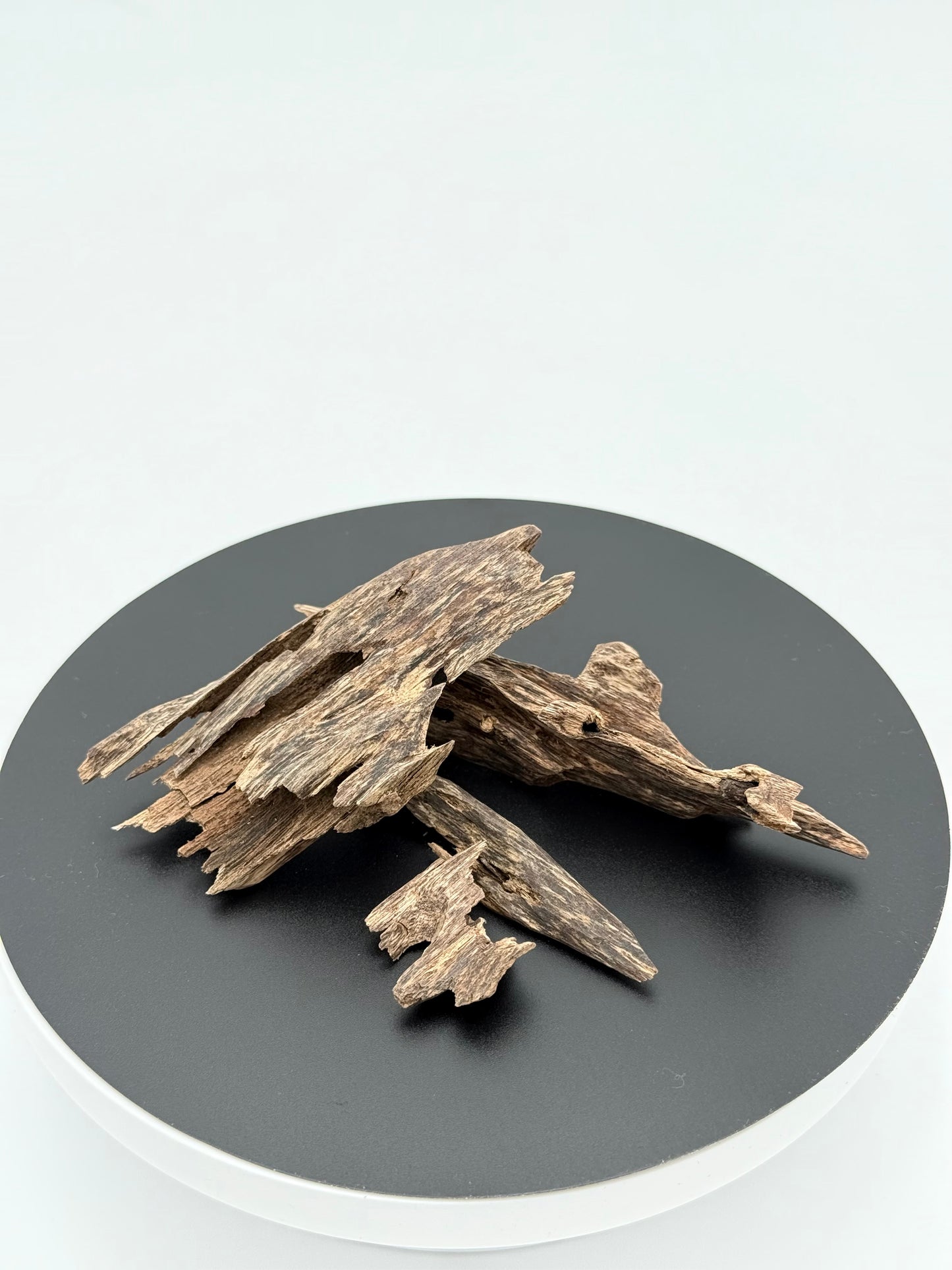 Agarwood Ant Oud Chips Best Quality Incense Aroma Natural Wild And Rare (12g)