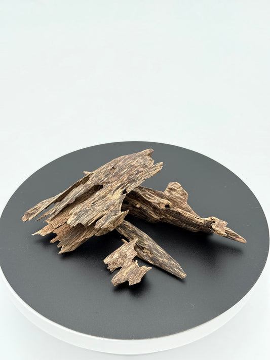 Agarwood Ant Oud Chips Best Quality Incense Aroma Natural Wild And Rare (12g)