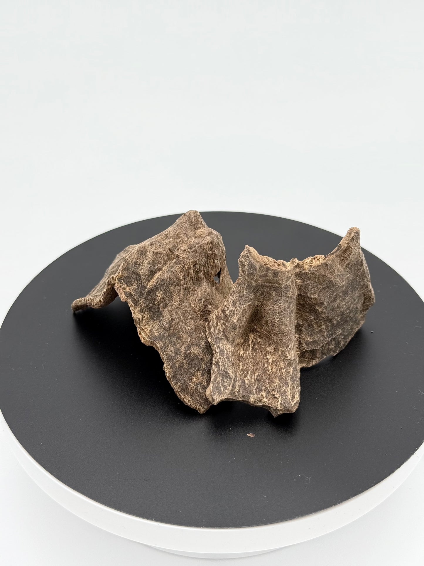 Agarwood Char Oud Chips Best Quality Incense Aroma Natural Wild And Rare (12g)