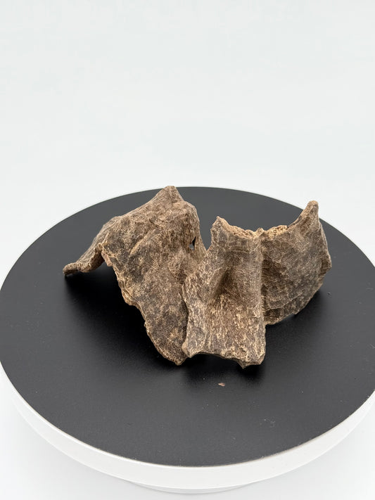 Agarwood Char Oud Chips Best Quality Incense Aroma Natural Wild And Rare (12g)